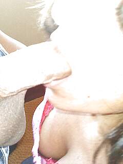 photo gallery id 259602