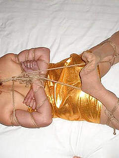 photo gallery id 259866