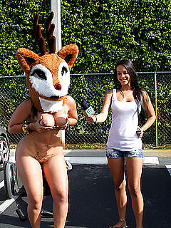 photo gallery id 259927