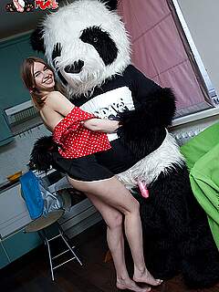 photo gallery id 260543