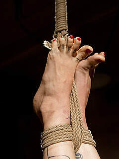 photo gallery id 260684