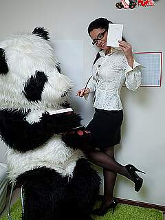 photo gallery id 260747