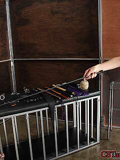 photo gallery id 261614