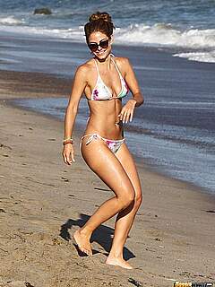 photo gallery id 262904