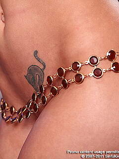 photo gallery id 263285