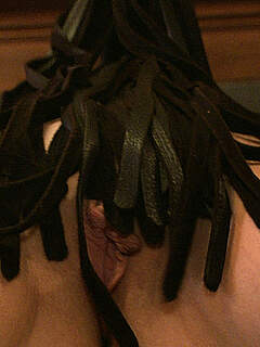 photo gallery id 263320