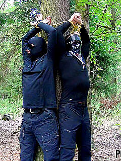 photo gallery id 263481