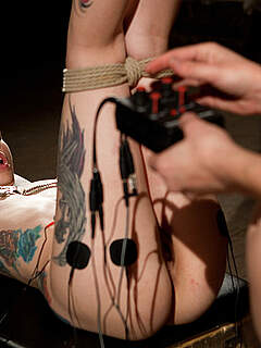 photo gallery id 265146