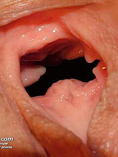 photo gallery id 265216