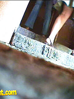 photo gallery id 265244