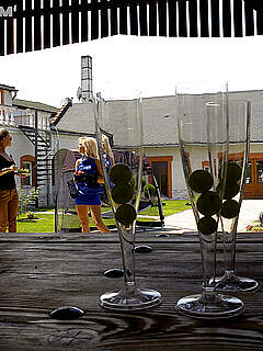 photo gallery id 266545