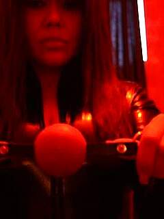 photo gallery id 267383