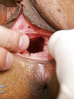 photo gallery id 267776