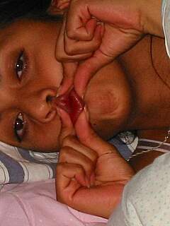 photo gallery id 268470