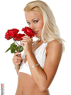 photo gallery id 268558