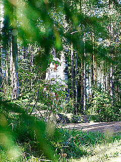 photo gallery id 269065