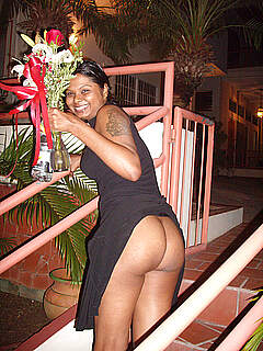 photo gallery id 270166