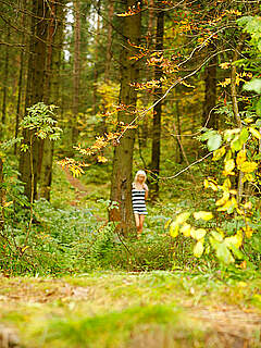 photo gallery id 270454