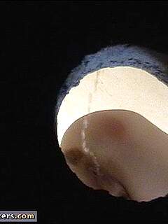 photo gallery id 271169