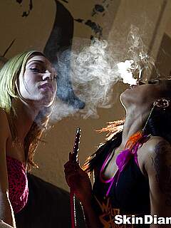 photo gallery id 272108