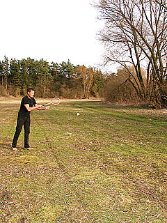 photo gallery id 272624