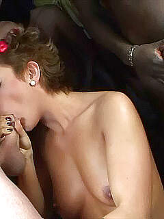 photo gallery id 273103