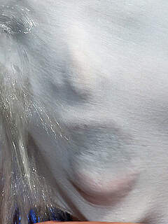 photo gallery id 273136