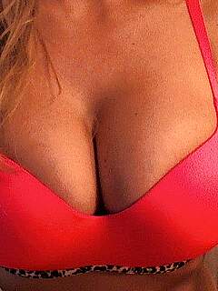 photo gallery id 273601