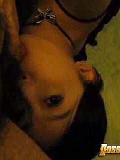 photo gallery id 274151