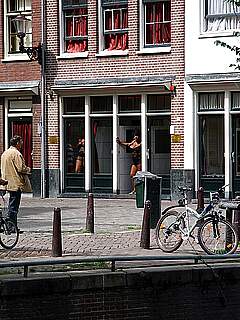 photo gallery id 277152