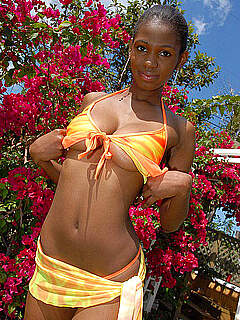 photo gallery id 278054