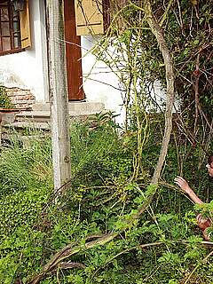 photo gallery id 280369