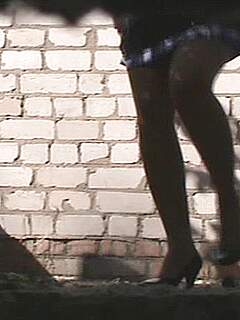 photo gallery id 280490