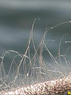 photo gallery id 281142