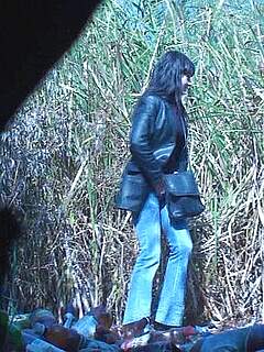 photo gallery id 281248