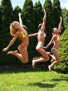 photo gallery id 281437