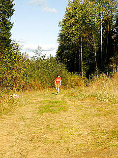 photo gallery id 281753