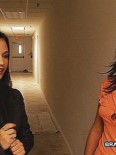 photo gallery id 282676