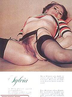 photo gallery id 283485