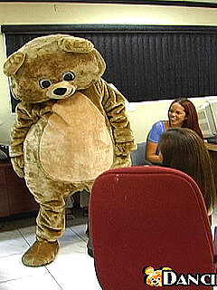 photo gallery id 284238