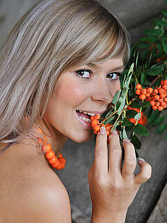 photo gallery id 286346