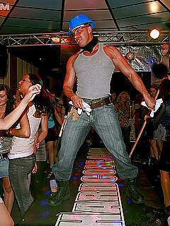 photo gallery id 291323