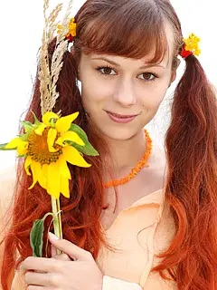 photo gallery id 291875