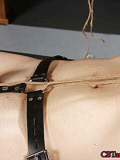 photo gallery id 294841