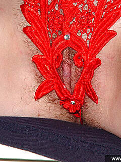 photo gallery id 299934