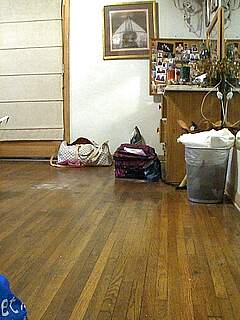 photo gallery id 301376