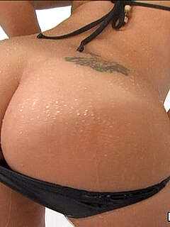 photo gallery id 304767