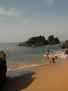 photo gallery id 308497