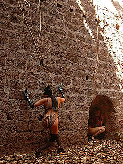 photo gallery id 308500