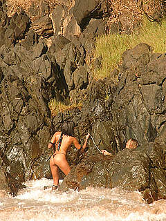 photo gallery id 308506